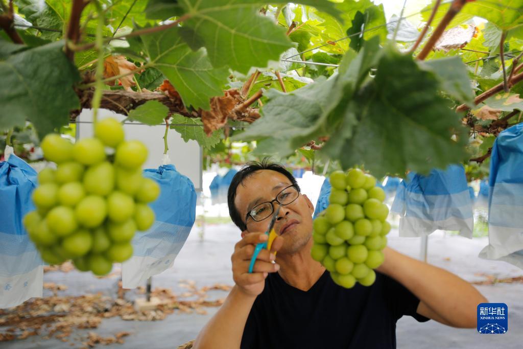 通宝评级官网查询
